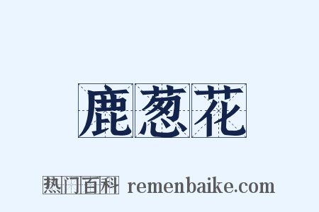 鹿葱花是什么意思的图片